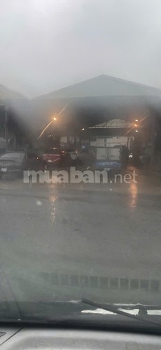 Dịch vụ người đi kiểm định xe ô tô nhanh