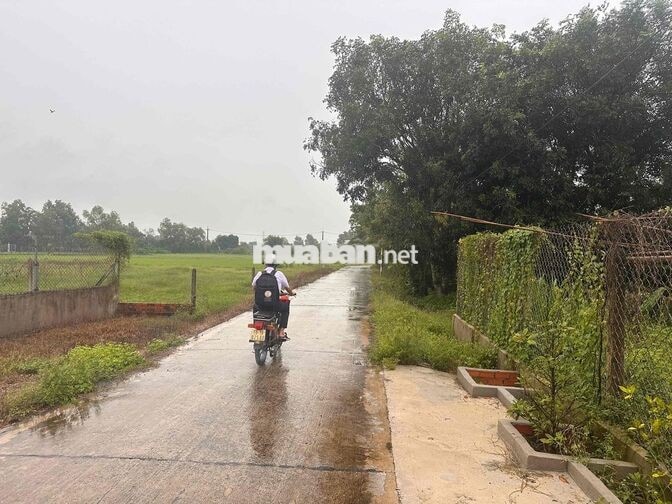 cần bán đất luôn nhà như hình,tổng diện tích đất gần 500m2