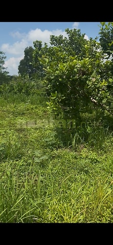 Bán 1 lô đất 8.547m, có 300m thổ cư , thuận tiện cho việc xây mới