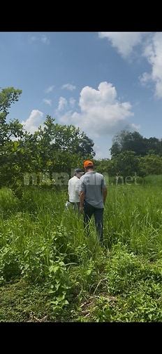 Bán 1 lô đất 8.547m, có 300m thổ cư , thuận tiện cho việc xây mới