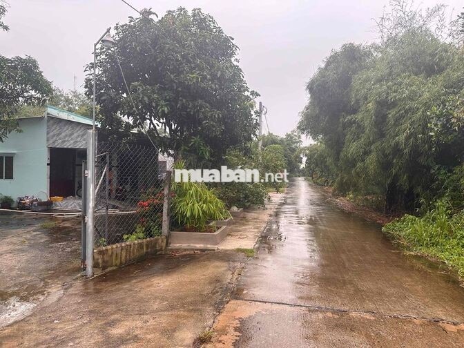 cần bán đất luôn nhà như hình,tổng diện tích đất gần 500m2