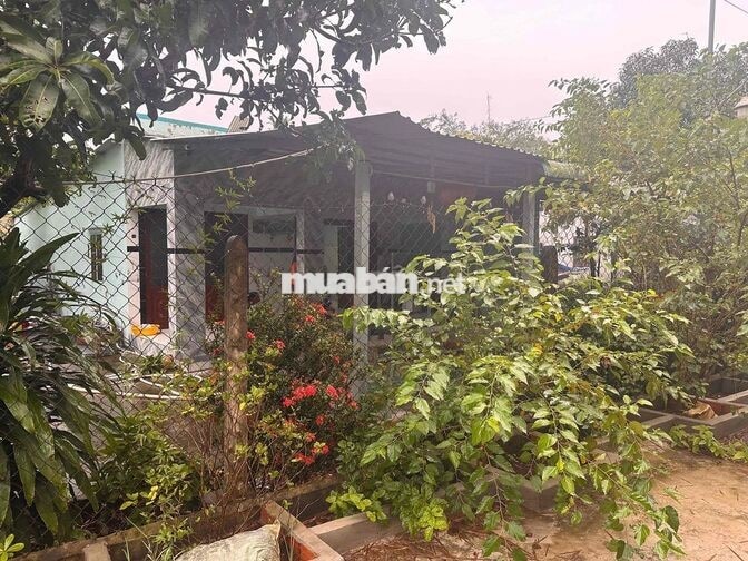 cần bán đất luôn nhà như hình,tổng diện tích đất gần 500m2