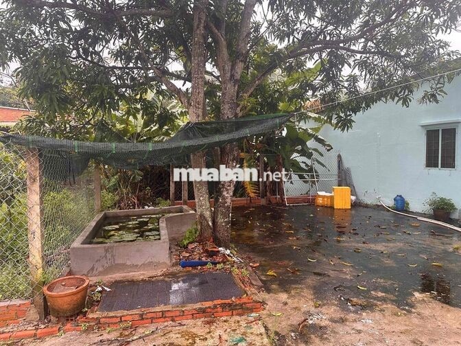 cần bán đất luôn nhà như hình,tổng diện tích đất gần 500m2