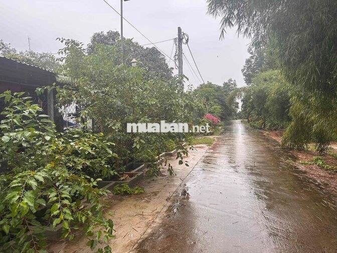 cần bán đất luôn nhà như hình,tổng diện tích đất gần 500m2