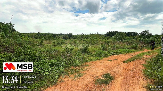 Công ty Đấu giá hợp danh Lam Sơn Sài Gòn thông báo đấu giá tài sản