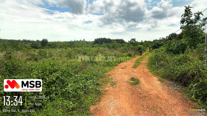 Công ty Đấu giá hợp danh Lam Sơn Sài Gòn thông báo đấu giá tài sản