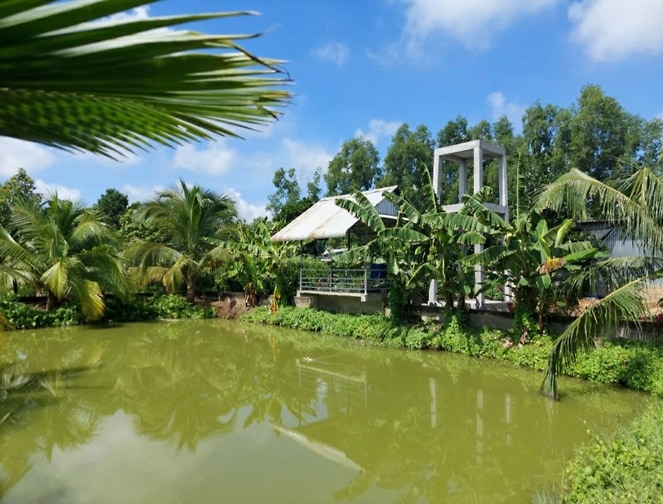 Bán đất - Trang trại vườn sinh thái 15.000m2, ĐT 830 Đức Huệ - LA