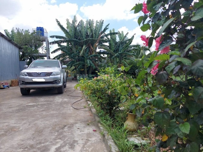 Bán đất - Trang trại vườn sinh thái 15.000m2, ĐT 830 Đức Huệ - LA
