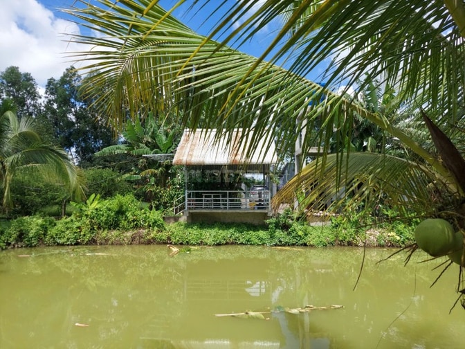 Bán đất - Trang trại vườn sinh thái 15.000m2, ĐT 830 Đức Huệ - LA