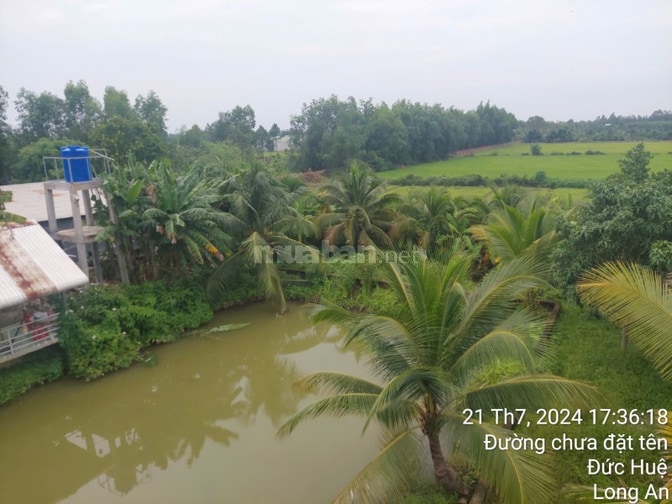 Bán đất - Trang trại vườn sinh thái 15.000m2, ĐT 830 Đức Huệ - LA