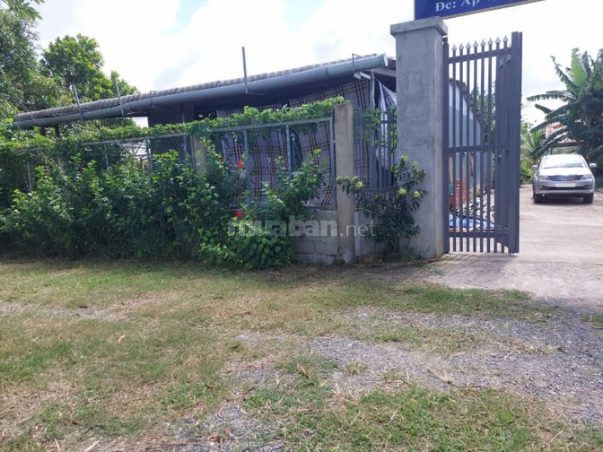 Bán đất - Trang trại vườn sinh thái 15.000m2, ĐT 830 Đức Huệ - LA
