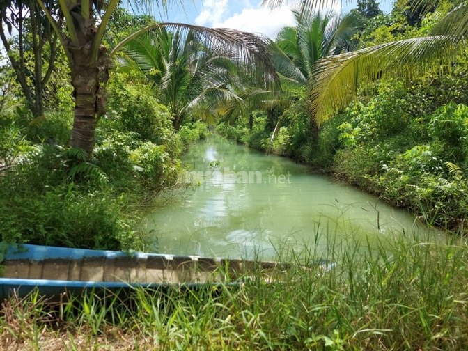 Bán đất - Trang trại vườn sinh thái 15.000m2, ĐT 830 Đức Huệ - LA