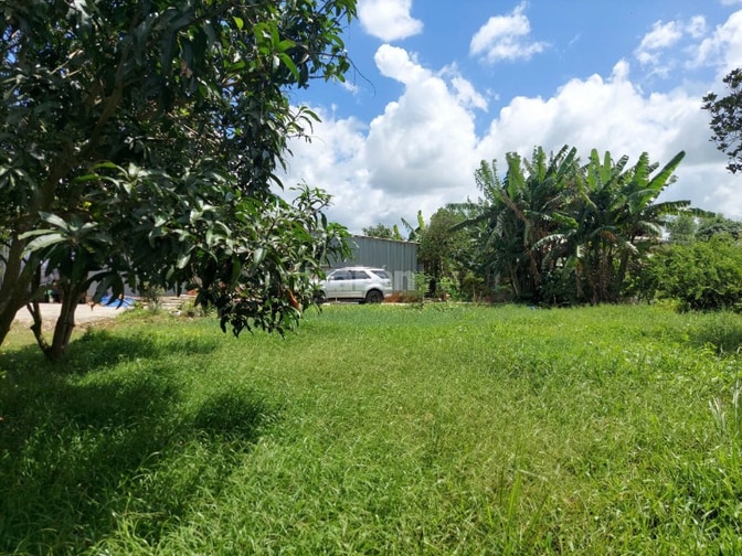 Bán đất - Trang trại vườn sinh thái 15.000m2, ĐT 830 Đức Huệ - LA