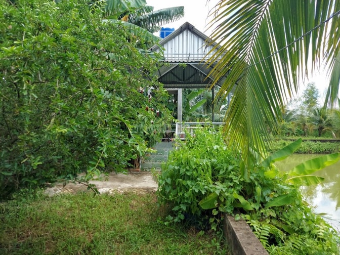 Bán đất - Trang trại vườn sinh thái 15.000m2, ĐT 830 Đức Huệ - LA