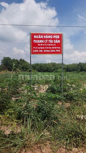 Công ty đấu giá hợp danh Sao Việt 