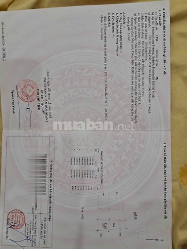 CHÍNH CHỦ BÁN ĐẤT.MẶT TIỀN ĐƯỜNG 8M QUY HOẠCH LÊN 30m 
