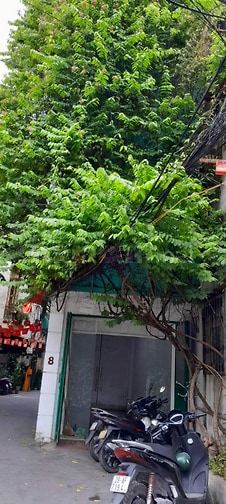 Cho thuê BĐS phường Láng Hạ quận Đống Đa. HN