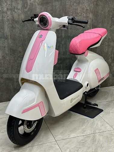 Type 3 Pro, Diora, Sonco Vespa Dior Xe điện hóa đơn đăng kiểm cầm tay.