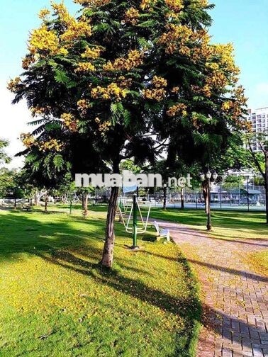 Bán Nhà Thô- Biệt Thự Khang Điền- Decor Theo Ý- Sổ Sẵn
