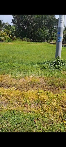 Chính chủ bán đất 1030m2 Trung Lập Hạ, Củ Chi