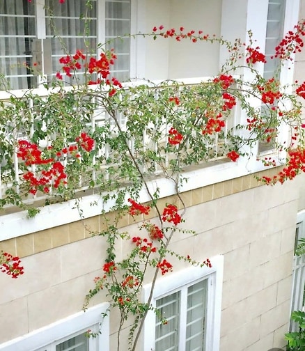 Nhà 4 tầng , ngay đầu góc quận 2  đường 30 khu compound 