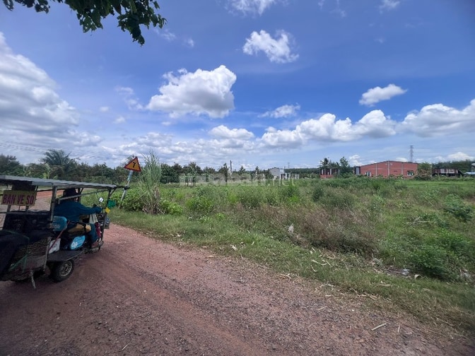 Bán đất Cầu khởi, Dương minh châu