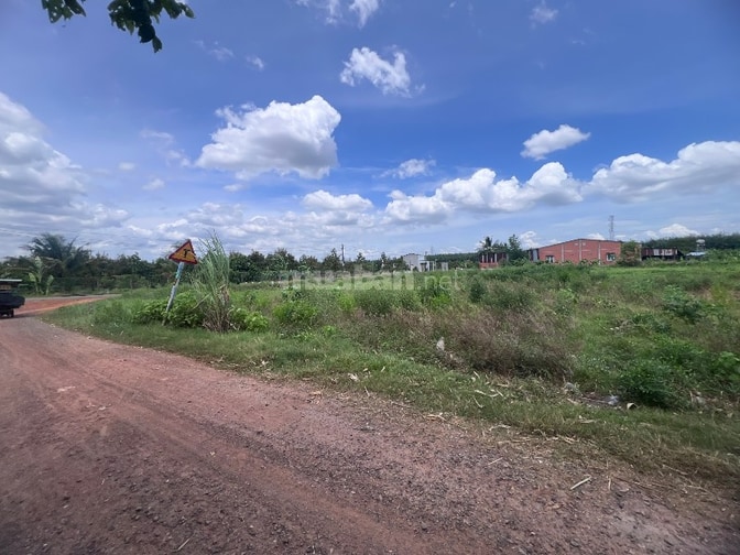 Bán đất Cầu khởi, Dương minh châu