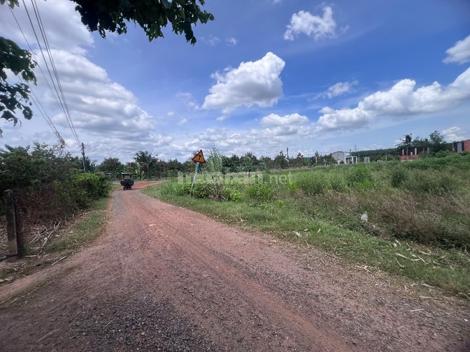 Bán đất Cầu khởi, Dương minh châu