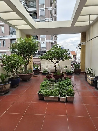 Hẻm nhựa lớn sát mặt tiền 110m2 4 tầng kinh doanh đường Lý Thường Kiệt