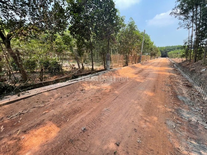 CHÍNH CHỦ BÁN ĐẤT TÂN THÀNH 08 (230.7m2 - HẺM 7M - GẦN KCN)