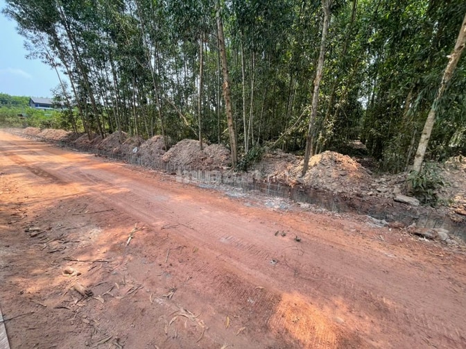CHÍNH CHỦ BÁN ĐẤT TÂN THÀNH 08 (230.7m2 - HẺM 7M - GẦN KCN)
