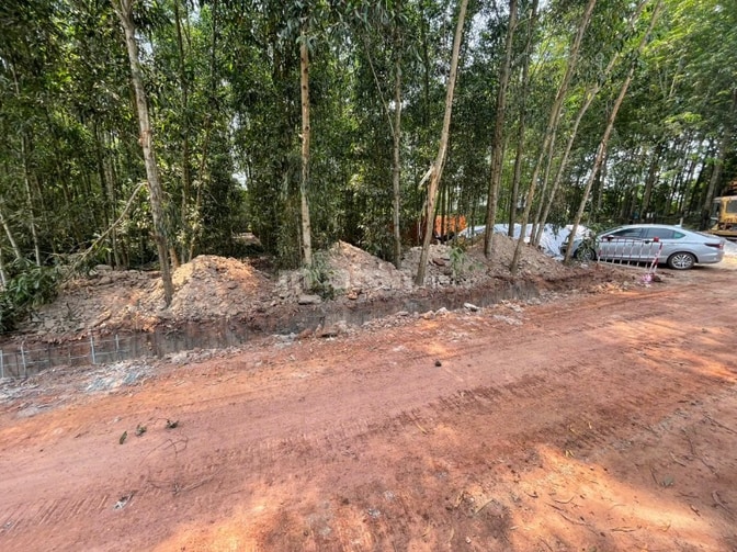 CHÍNH CHỦ BÁN ĐẤT TÂN THÀNH 08 (230.7m2 - HẺM 7M - GẦN KCN)