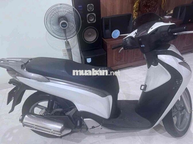 Honda SH 2011 Trắng
