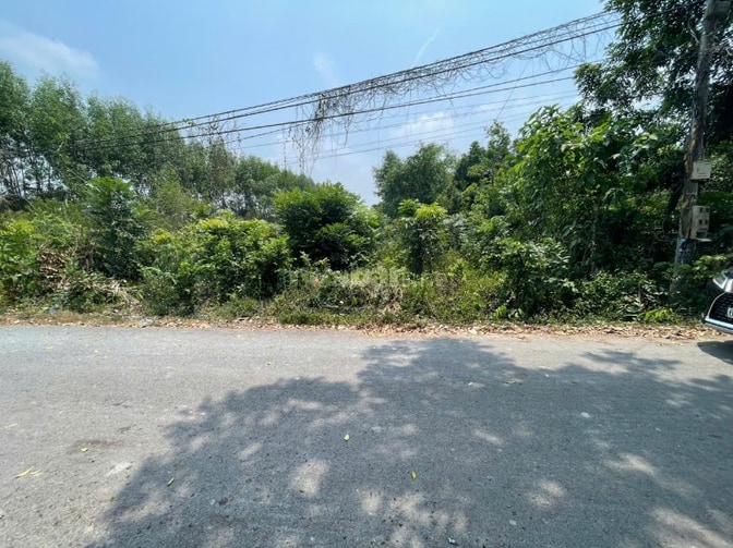CHÍNH CHỦ BÁN ĐẤT TÂN THÀNH 11 (494.3m2 - THỔ CƯ CAO - ĐẤT RỘNG ĐẸP)