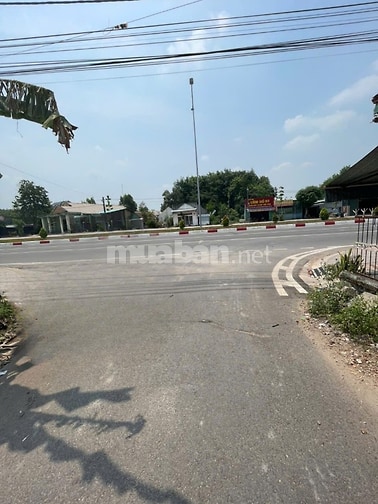 CHÍNH CHỦ BÁN ĐẤT TÂN THÀNH 11 (494.3m2 - THỔ CƯ CAO - ĐẤT RỘNG ĐẸP)