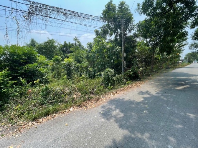 CHÍNH CHỦ BÁN ĐẤT TÂN THÀNH 11 (494.3m2 - THỔ CƯ CAO - ĐẤT RỘNG ĐẸP)