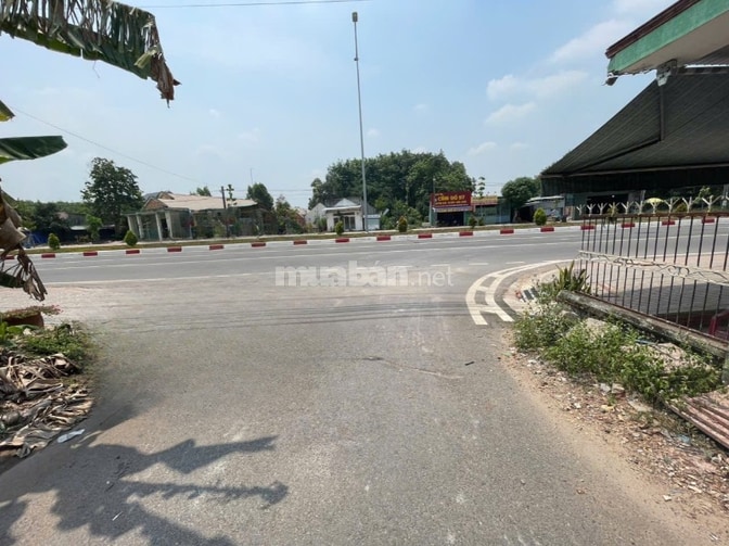 CHÍNH CHỦ BÁN ĐẤT TÂN THÀNH 11 (494.3m2 - THỔ CƯ CAO - ĐẤT RỘNG ĐẸP)