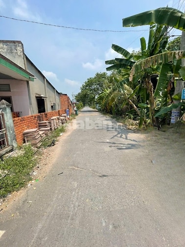 CHÍNH CHỦ BÁN ĐẤT TÂN THÀNH 11 (494.3m2 - THỔ CƯ CAO - ĐẤT RỘNG ĐẸP)
