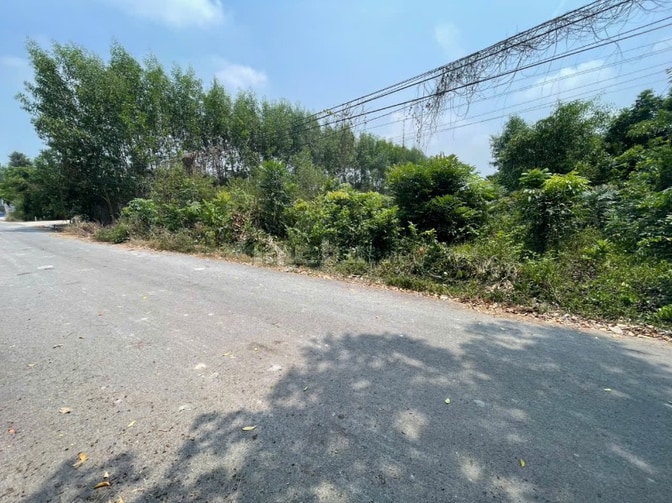 CHÍNH CHỦ BÁN ĐẤT TÂN THÀNH 11 (494.3m2 - THỔ CƯ CAO - ĐẤT RỘNG ĐẸP)