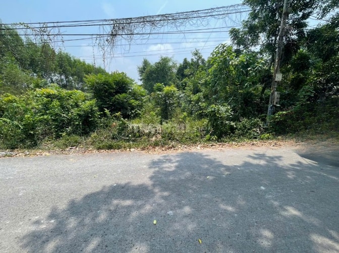 CHÍNH CHỦ BÁN ĐẤT TÂN THÀNH 11 (494.3m2 - THỔ CƯ CAO - ĐẤT RỘNG ĐẸP)