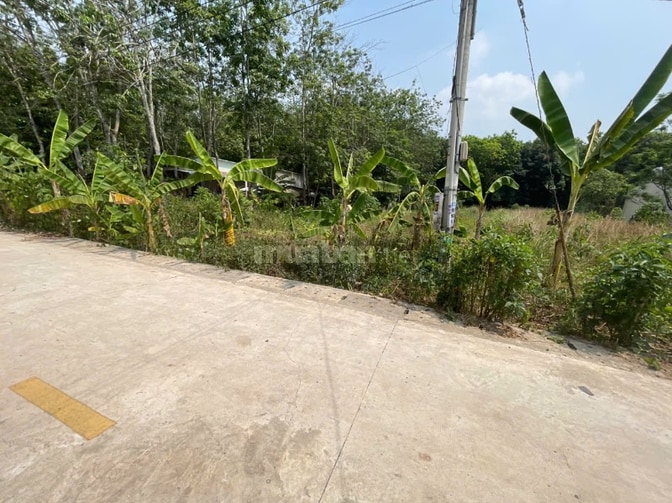 CHÍNH CHỦ BÁN ĐẤT TÂN THÀNH 56 (708.5m2 - NGANG 12M - ĐẤT RỘNG ĐẸP)