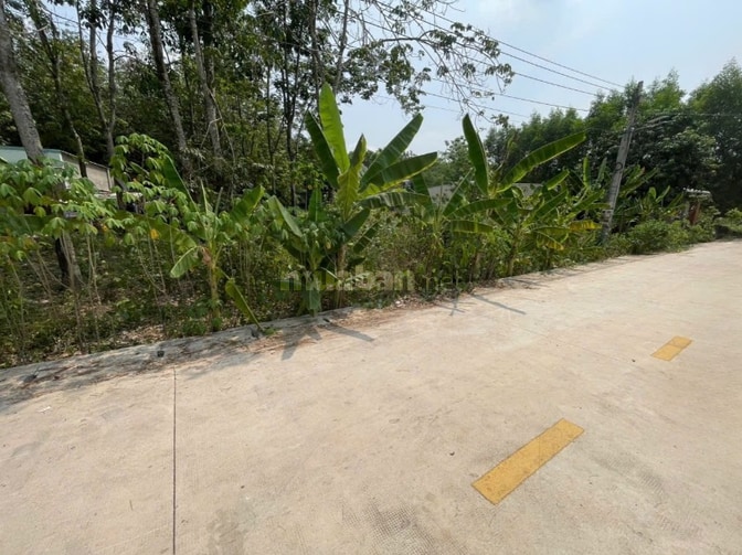 CHÍNH CHỦ BÁN ĐẤT TÂN THÀNH 56 (708.5m2 - NGANG 12M - ĐẤT RỘNG ĐẸP)