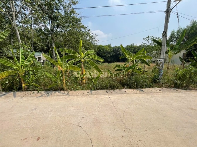 CHÍNH CHỦ BÁN ĐẤT TÂN THÀNH 56 (708.5m2 - NGANG 12M - ĐẤT RỘNG ĐẸP)