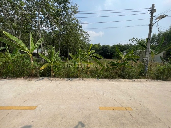 CHÍNH CHỦ BÁN ĐẤT TÂN THÀNH 56 (708.5m2 - NGANG 12M - ĐẤT RỘNG ĐẸP)