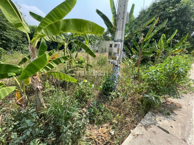 CHÍNH CHỦ BÁN ĐẤT TÂN THÀNH 56 (708.5m2 - NGANG 12M - ĐẤT RỘNG ĐẸP)