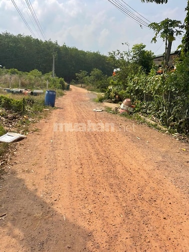 CHÍNH CHỦ BÁN ĐẤT TÂN ĐỊNH 16 (283.1m2 - NGANG 6M - THỔ CƯ CAO)