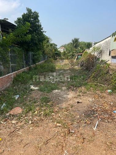CHÍNH CHỦ BÁN ĐẤT TÂN ĐỊNH 16 (283.1m2 - NGANG 6M - THỔ CƯ CAO)
