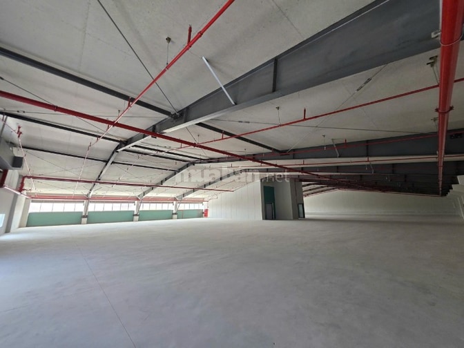 Cho Thuê Xưởng 2.500m2 KCN Tân Kim, Long An - Giá từ 4,5 usd