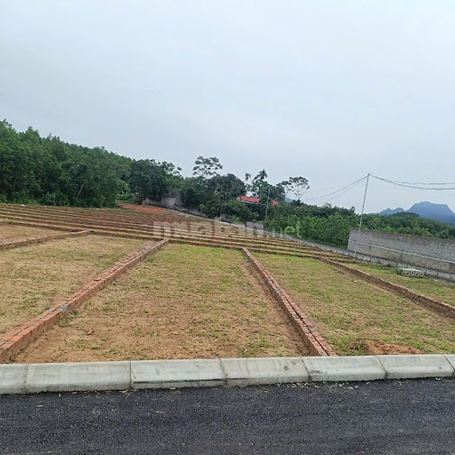  Chỉ hơn 100 triệu/lô sở hữu ngay đất trung tâm An Bình Lạc Thủy 