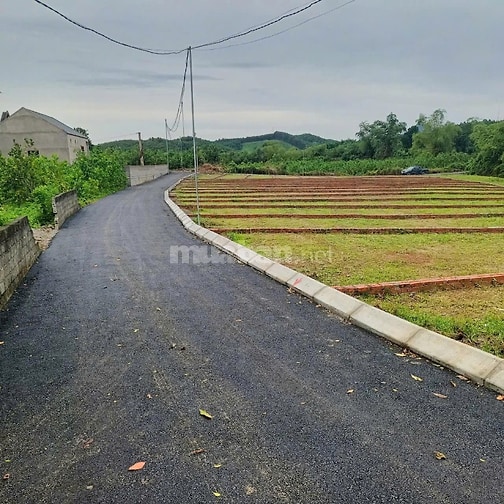  Chỉ hơn 100 triệu/lô sở hữu ngay đất trung tâm An Bình Lạc Thủy 